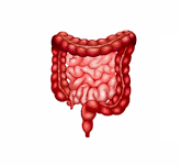 Colorectal Surgery Department
